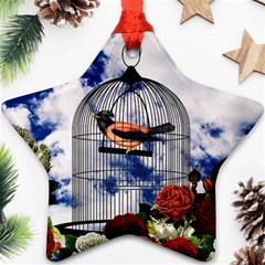 Vintage bird in the cage  Star Ornament (Two Sides)