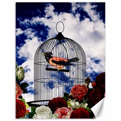 Vintage bird in the cage  Canvas 12  x 16  