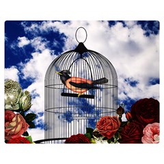 Vintage bird in the cage  Double Sided Flano Blanket (Medium) 