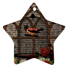 Vintage Bird In The Cage Ornament (star) by Valentinaart