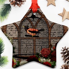 Vintage Bird In The Cage Star Ornament (two Sides) by Valentinaart