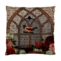 Vintage Bird In The Cage Standard Cushion Case (two Sides) by Valentinaart