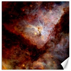 Carina Nebula Canvas 16  X 16  