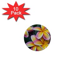 Premier Mix Flower 1  Mini Magnet (10 Pack) 