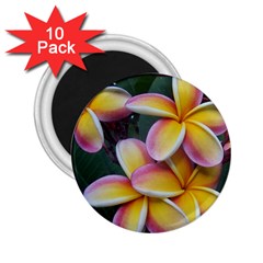 Premier Mix Flower 2 25  Magnets (10 Pack) 