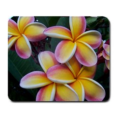 Premier Mix Flower Large Mousepads