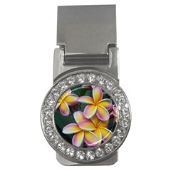 Premier Mix Flower Money Clips (cz) 