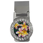 Premier Mix Flower Money Clips (CZ)  Front