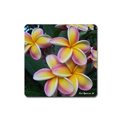 Premier Mix Flower Square Magnet