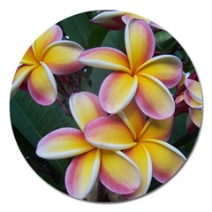 Premier Mix Flower Magnet 5  (round) by alohaA