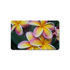 Premier Mix Flower Magnet (name Card)