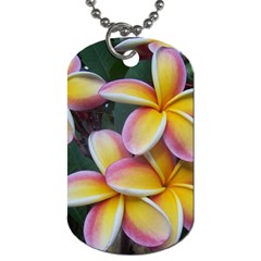 Premier Mix Flower Dog Tag (two Sides)