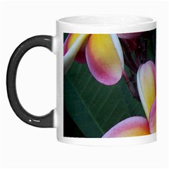 Premier Mix Flower Morph Mugs by alohaA