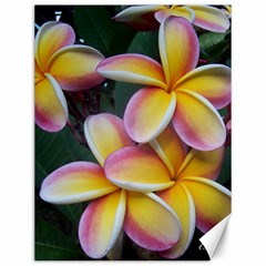 Premier Mix Flower Canvas 12  X 16  