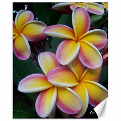 Premier Mix Flower Canvas 16  X 20   by alohaA