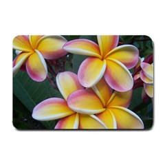 Premier Mix Flower Small Doormat  by alohaA