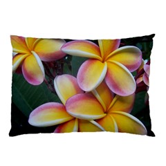 Premier Mix Flower Pillow Case by alohaA