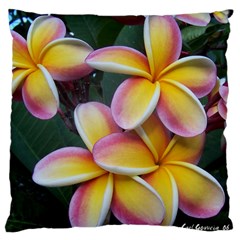 Premier Mix Flower Large Cushion Case (two Sides)