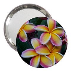 Premier Mix Flower 3  Handbag Mirrors by alohaA