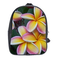 Premier Mix Flower School Bags (xl) 