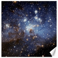 Large Magellanic Cloud Canvas 12  X 12   by SpaceShop