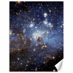 Large Magellanic Cloud Canvas 12  X 16  