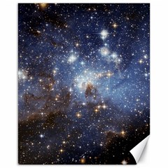 Large Magellanic Cloud Canvas 16  X 20  