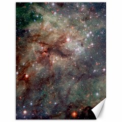 Tarantula Nebula Canvas 12  X 16   by SpaceShop