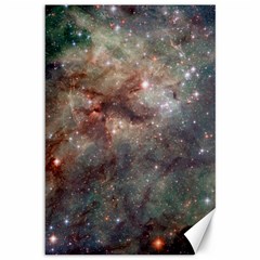 Tarantula Nebula Canvas 12  X 18  