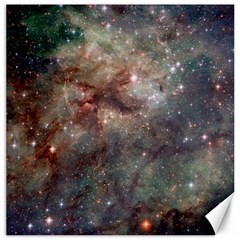 Tarantula Nebula Canvas 20  X 20   by SpaceShop