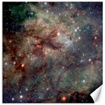 Tarantula Nebula Canvas 20  x 20   19 x19.27  Canvas - 1