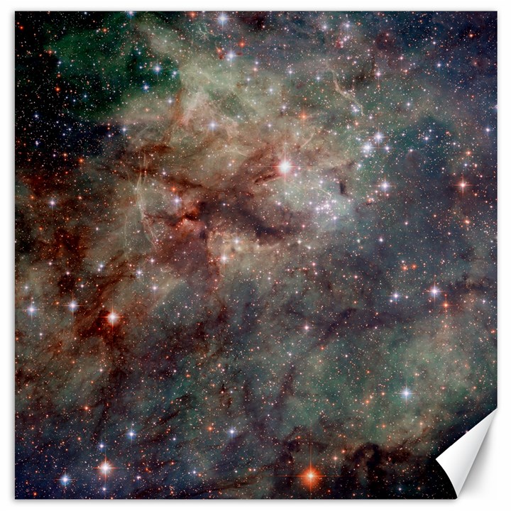 Tarantula Nebula Canvas 20  x 20  