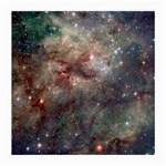 Tarantula Nebula Medium Glasses Cloth Front