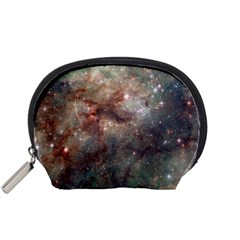 Tarantula Nebula Accessory Pouches (small) 