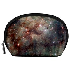 Tarantula Nebula Accessory Pouches (large) 