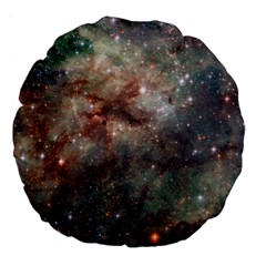 Tarantula Nebula Large 18  Premium Flano Round Cushions by SpaceShop