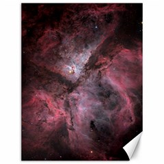 Carina Peach 4553 Canvas 12  X 16   by SpaceShop