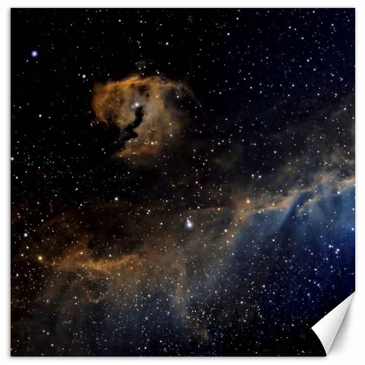 Seagull Nebula Canvas 12  x 12  