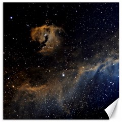 Seagull Nebula Canvas 16  x 16  