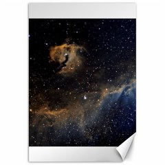 Seagull Nebula Canvas 20  x 30  