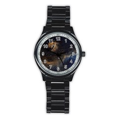 Seagull Nebula Stainless Steel Round Watch