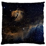 Seagull Nebula Standard Flano Cushion Case (Two Sides) Front