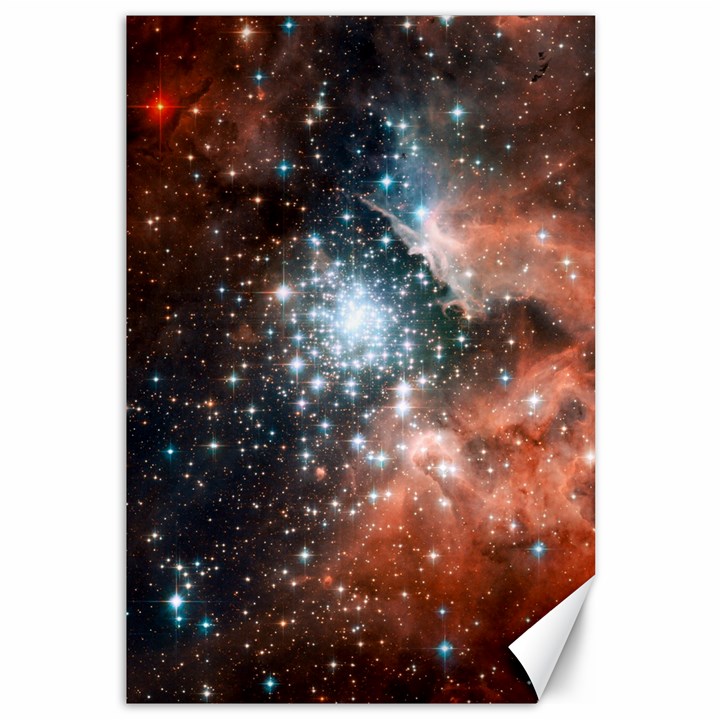 Star Cluster Canvas 12  x 18  