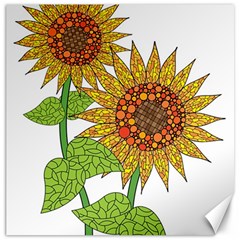 Sunflowers Flower Bloom Nature Canvas 12  X 12   by Simbadda