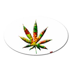 Marijuana Leaf Bright Graphic Oval Magnet by Simbadda