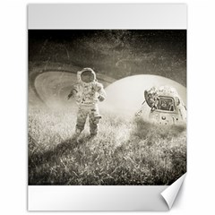 Astronaut Space Travel Space Canvas 18  x 24  