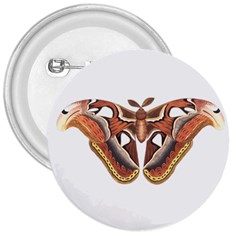 Butterfly Animal Insect Isolated 3  Buttons by Simbadda