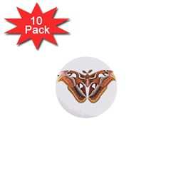 Butterfly Animal Insect Isolated 1  Mini Buttons (10 Pack)  by Simbadda