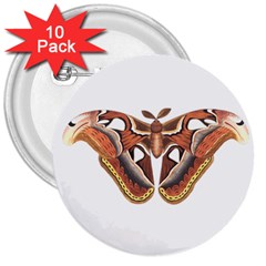 Butterfly Animal Insect Isolated 3  Buttons (10 Pack)  by Simbadda