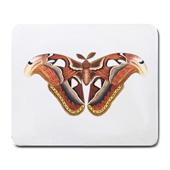 Butterfly Animal Insect Isolated Large Mousepads by Simbadda